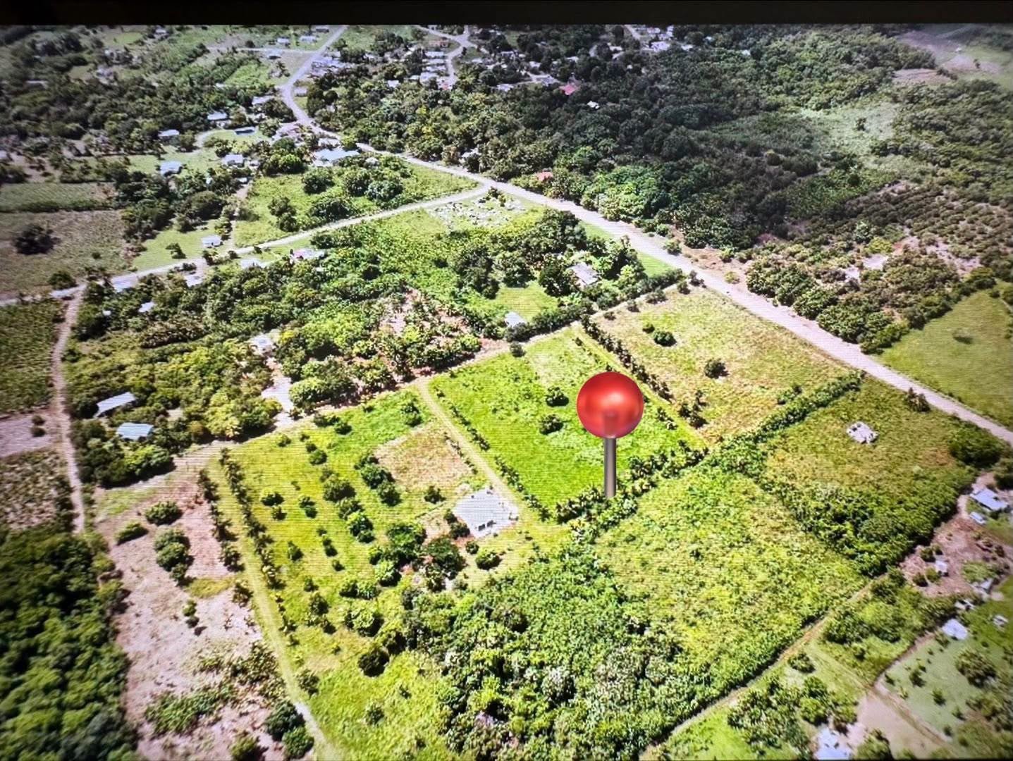16 ACRES | PARAISO VILLAGE, COROZAL DISTRICT (SELLER FINANCING CONSIDERED). VERY MOTIVATED SELLER!